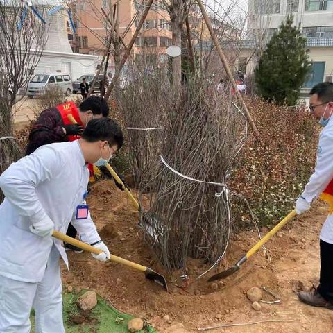 植树绿化，爱院如家