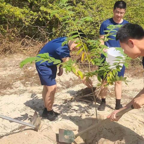 植树正当时｜吉阳区消防救援大队开展植树活动