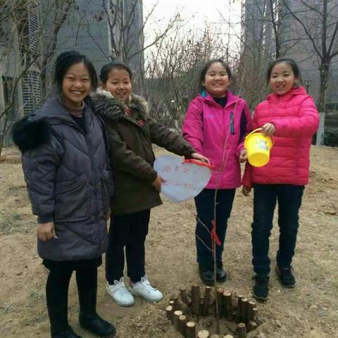 我爱地球~绿色家园🌴，路南实小四年级2班2018年春光无限好，植树添温馨快乐植树节活动🍀