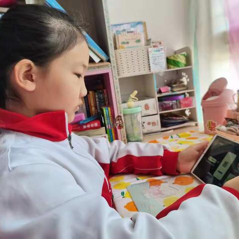 普及安全知识 提高避险能力                                   ——路南实小学生安全教育日活动
