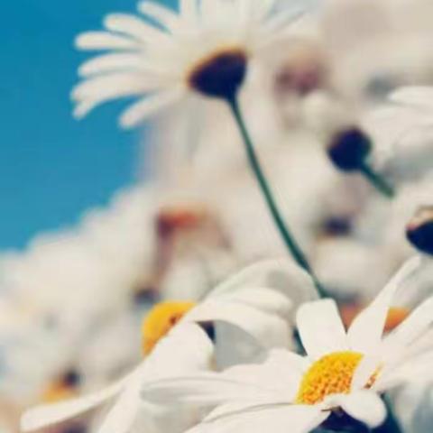 寒假归来话感悟