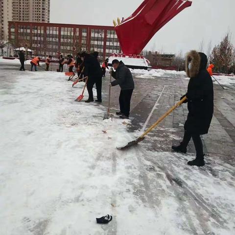 公园全体员工扫雪在行动