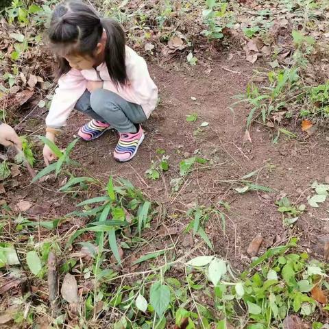 哈灵教育.花园幼儿园蒙A一班“春天里”