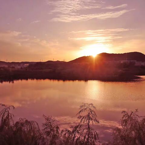 西山湖掠影