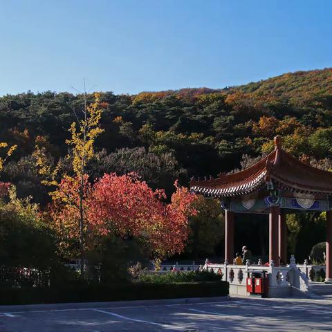 迟到的恒山寺