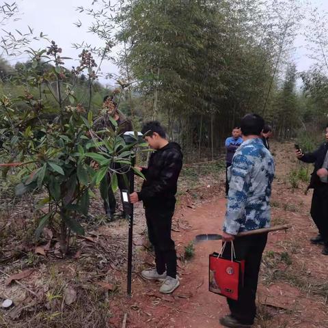 【冲刺“开门红”】燕北街道：和谐征迁保民生  稳推项目促发展