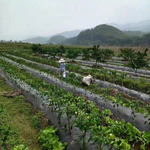 世界读书日（谈读书经历）