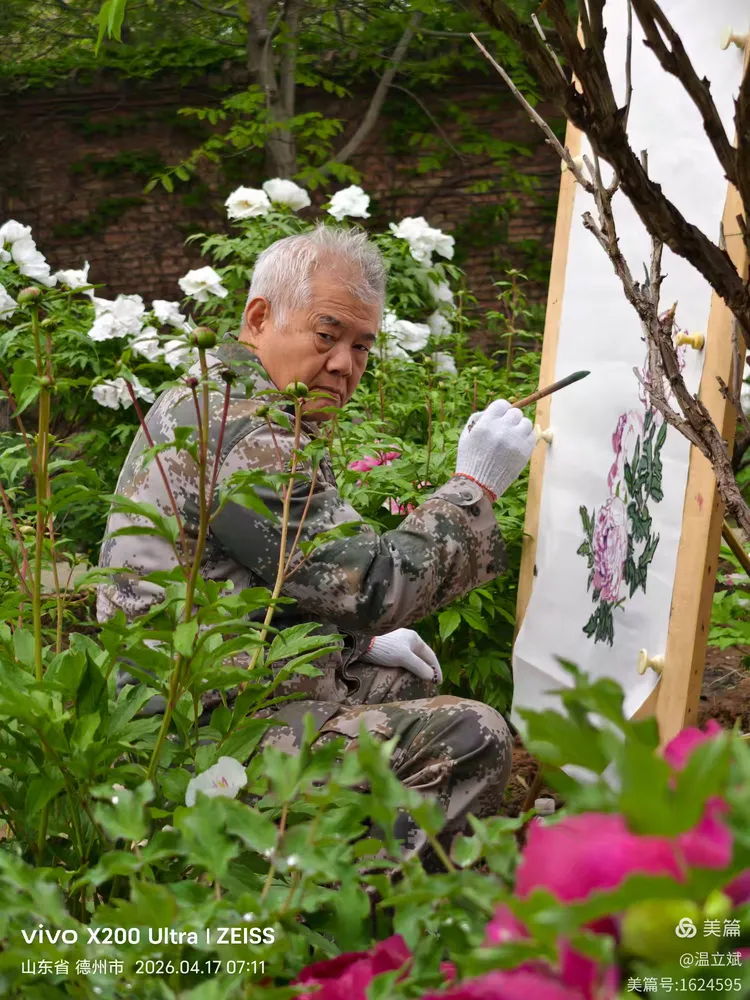 叶兆信·老宅写生记 | 从庭院到宣纸，用笔墨定格牡丹最美绽放瞬间