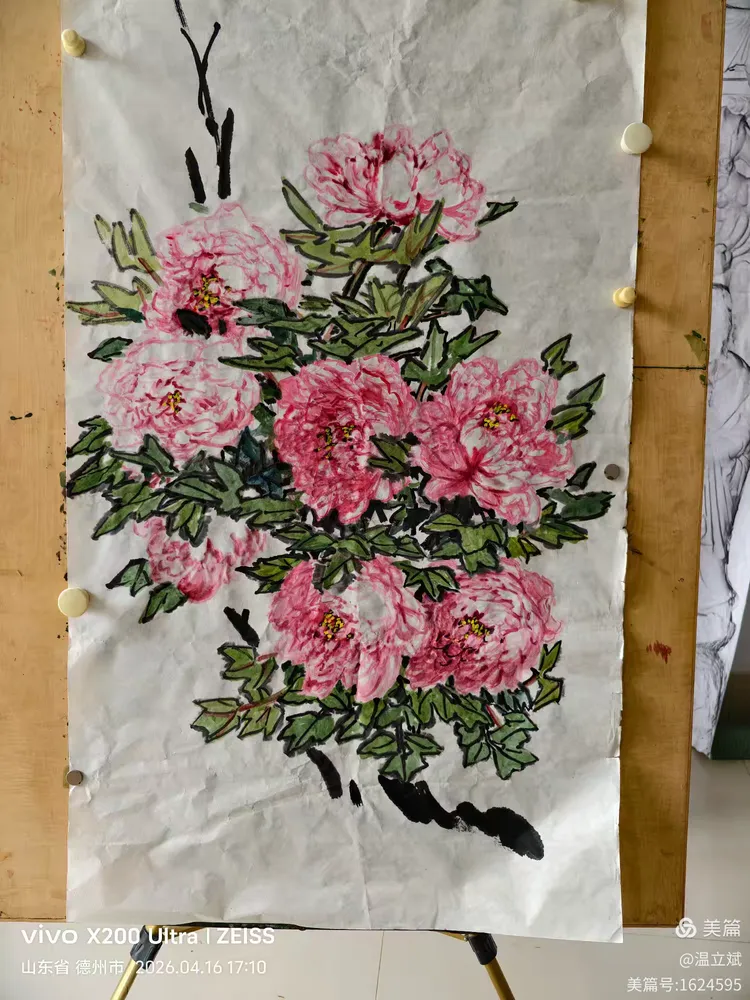 叶兆信·老宅写生记 | 从庭院到宣纸，用笔墨定格牡丹最美绽放瞬间