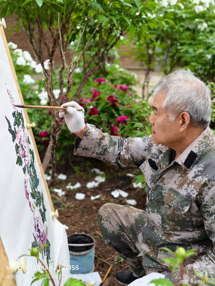 叶兆信·老宅写生记 | 从庭院到宣纸，用笔墨定格牡丹最美绽放瞬间