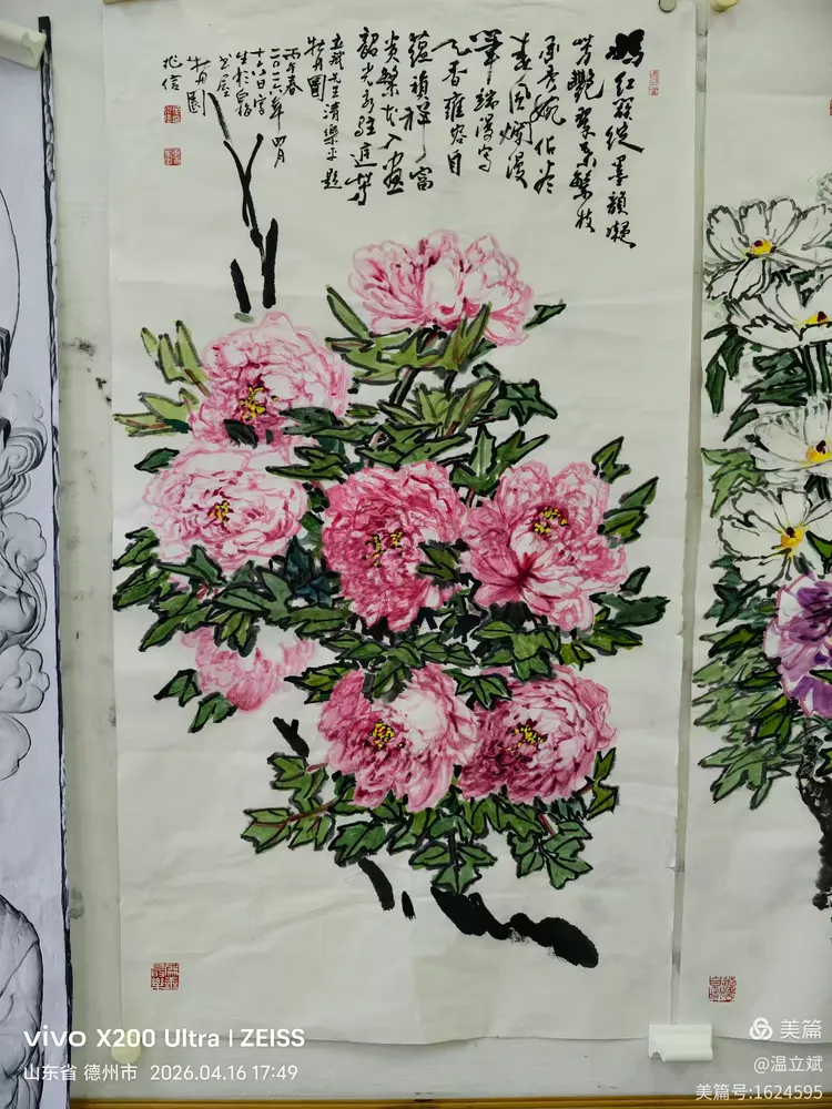 叶兆信·老宅写生记 | 从庭院到宣纸，用笔墨定格牡丹最美绽放瞬间