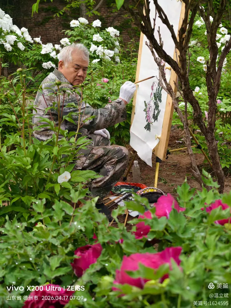 叶兆信·老宅写生记 | 从庭院到宣纸，用笔墨定格牡丹最美绽放瞬间