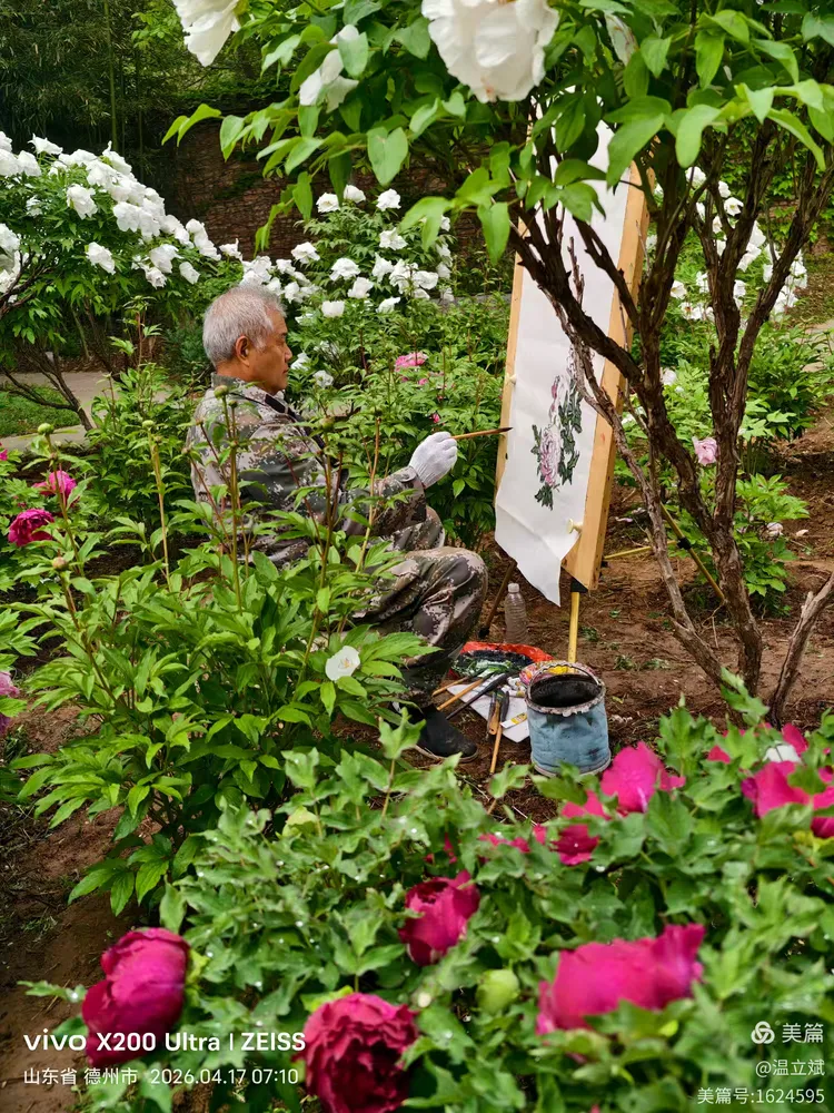 叶兆信·老宅写生记 | 从庭院到宣纸，用笔墨定格牡丹最美绽放瞬间