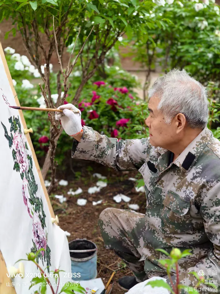 叶兆信·老宅写生记 | 从庭院到宣纸，用笔墨定格牡丹最美绽放瞬间