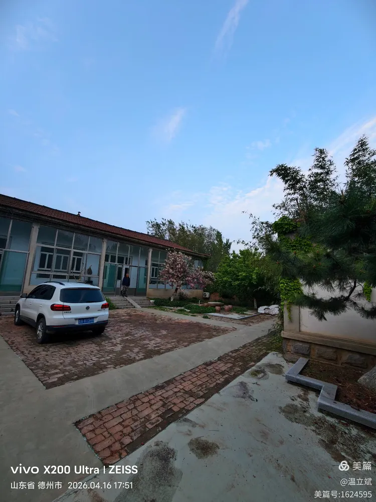 叶兆信·老宅写生记 | 从庭院到宣纸，用笔墨定格牡丹最美绽放瞬间