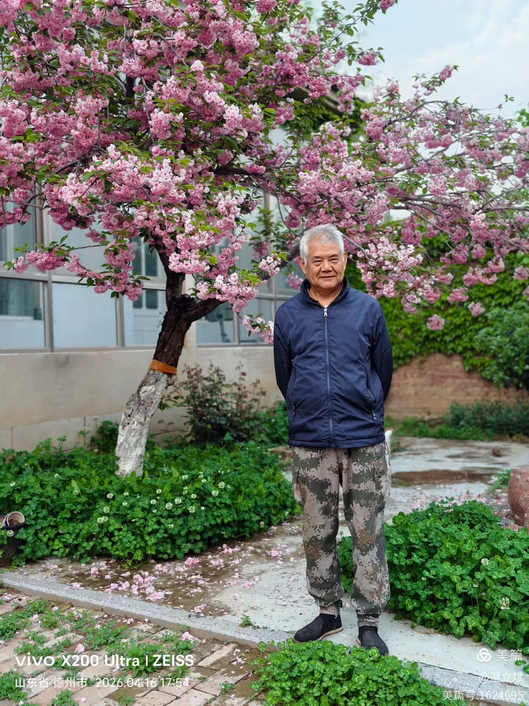 叶兆信·老宅写生记 | 从庭院到宣纸，用笔墨定格牡丹最美绽放瞬间