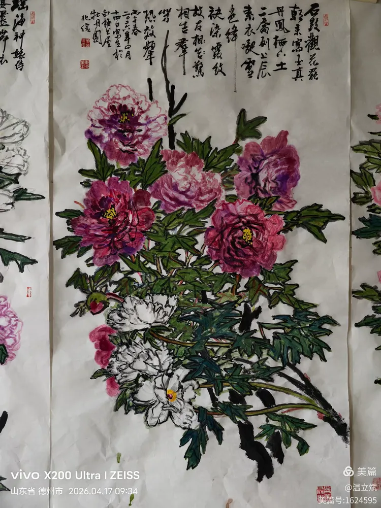 叶兆信·老宅写生记 | 从庭院到宣纸，用笔墨定格牡丹最美绽放瞬间