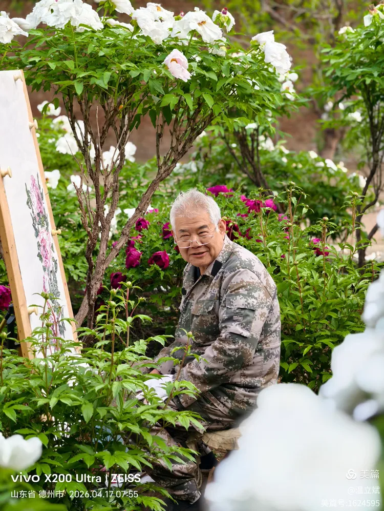 叶兆信·老宅写生记 | 从庭院到宣纸，用笔墨定格牡丹最美绽放瞬间
