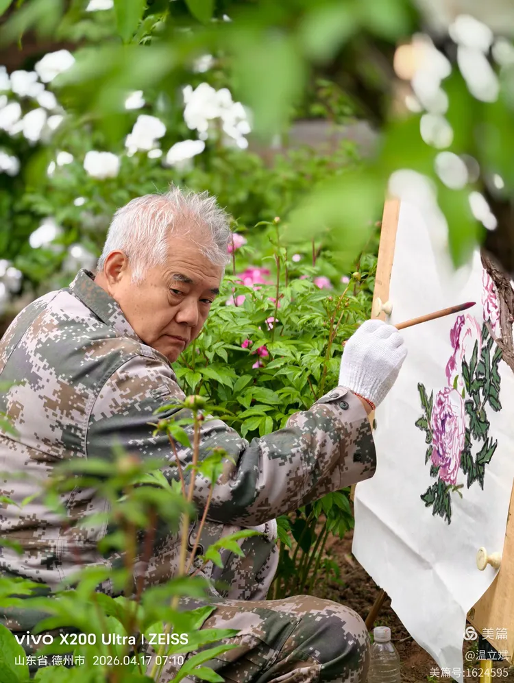 叶兆信·老宅写生记 | 从庭院到宣纸，用笔墨定格牡丹最美绽放瞬间