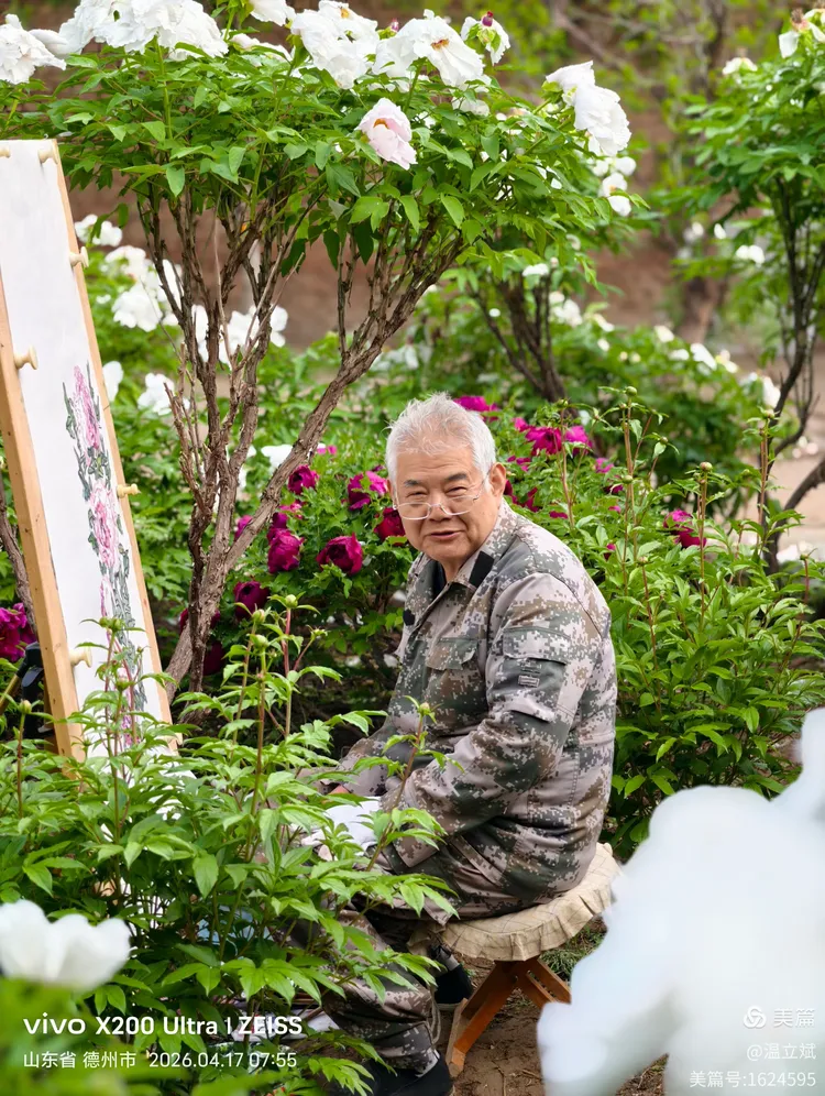 叶兆信·老宅写生记 | 从庭院到宣纸，用笔墨定格牡丹最美绽放瞬间