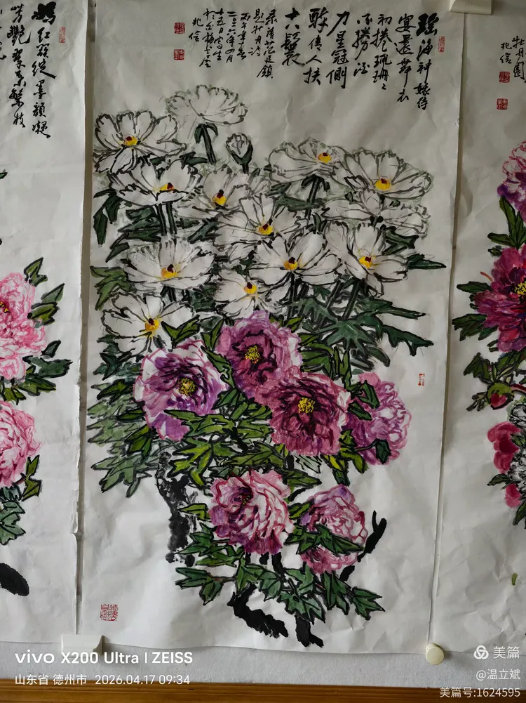 叶兆信·老宅写生记 | 从庭院到宣纸，用笔墨定格牡丹最美绽放瞬间