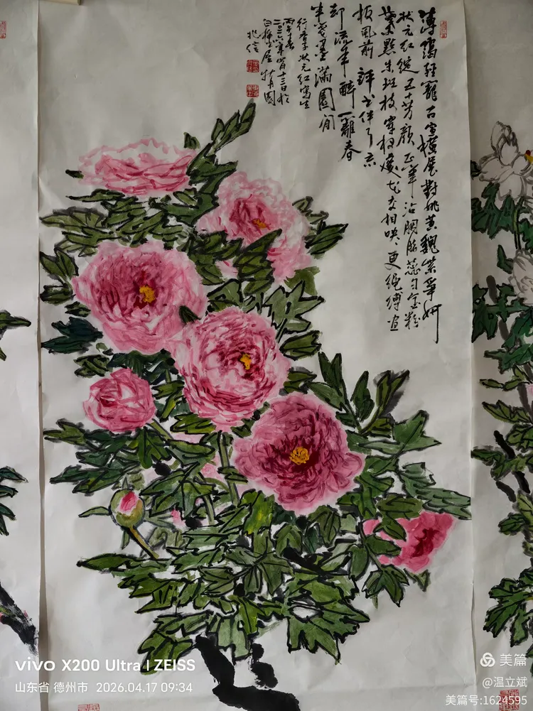 叶兆信·老宅写生记 | 从庭院到宣纸，用笔墨定格牡丹最美绽放瞬间