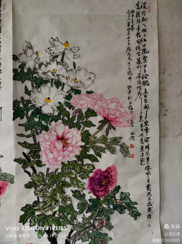 叶兆信·老宅写生记 | 从庭院到宣纸，用笔墨定格牡丹最美绽放瞬间