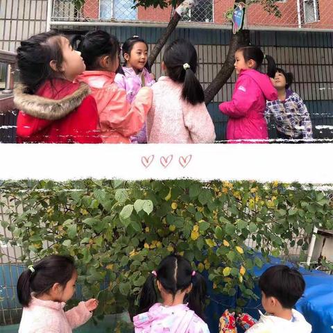 🍁 秋风送爽，与树叶娃娃的季节限定！ 🍁