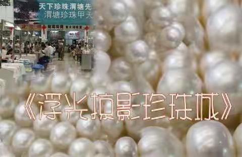 旅行日记：《南行速写》之二《浮光掠影真珠城》