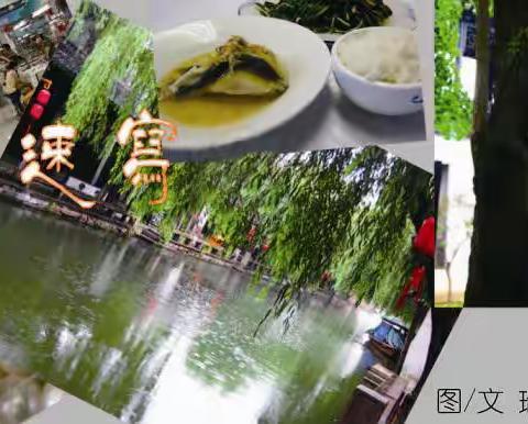 旅行日记：《南行速写》之一《初到渭塘》