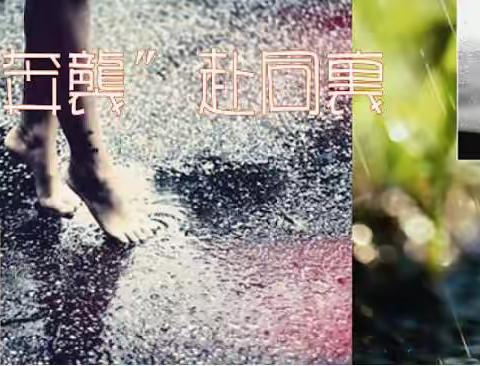 旅行日记：《南行速写》之十《雨中“奔袭”赴同里》