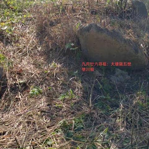 凤港村长房祖墓修缮裔孙芳名榜