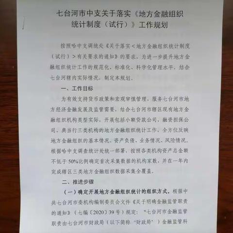 调查统计科党支部开展“让党旗在基层一线高高飘扬”主题实践活动