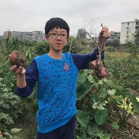 国庆假期劳动季