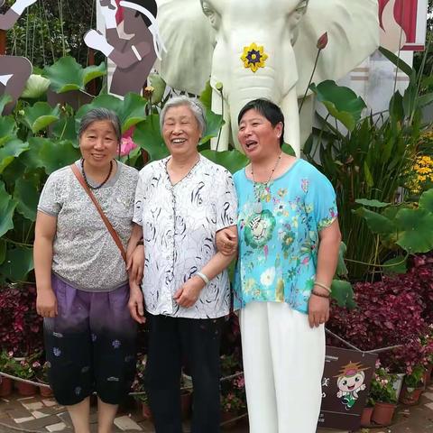 大观公园一日游