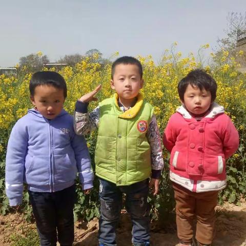 2018春游意境!🌺🌺🌺🎉🎉🎉