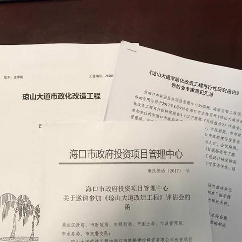 8月9日中心开展《琼山大道市政化改造工程》可行性研究报告评审工作