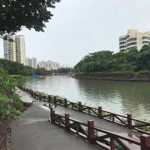 8月24日中心开展《美舍河沿线景观生态修复二期项目可行性研究报告》评审工作