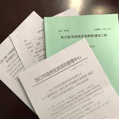 7月28日中心开展《育才路（学院路至苍峄路）建设工程可行性研究报告》评估工作