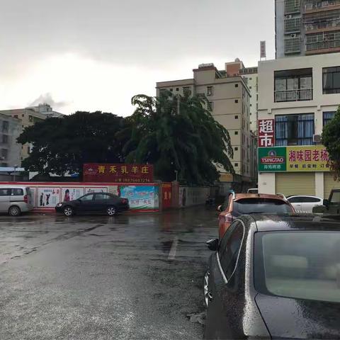 9月7日中心开展《海口市山高横路北延市政道路项目》可研评估工作