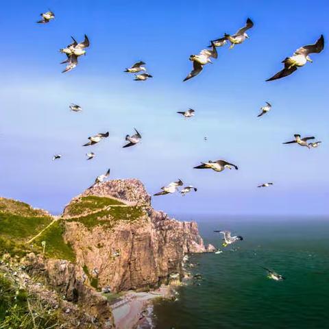 【驴行太行】我和海洋有个约会—威海四日游