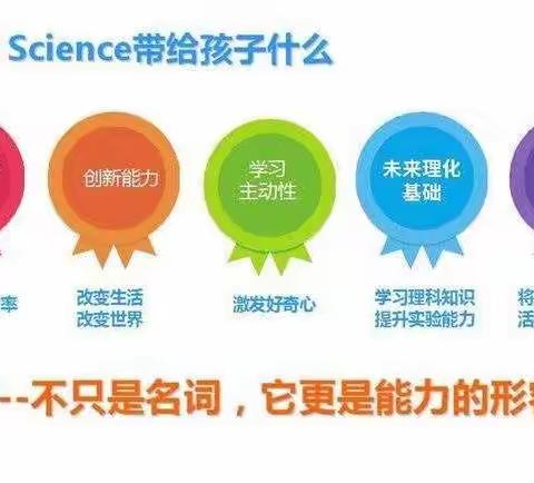 边临镇STEM教育交流汇报