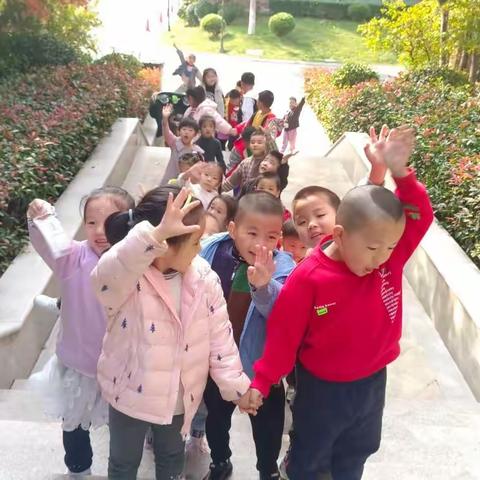 博苑盛唐🌻大二班🌻一叶知秋🍁🍂