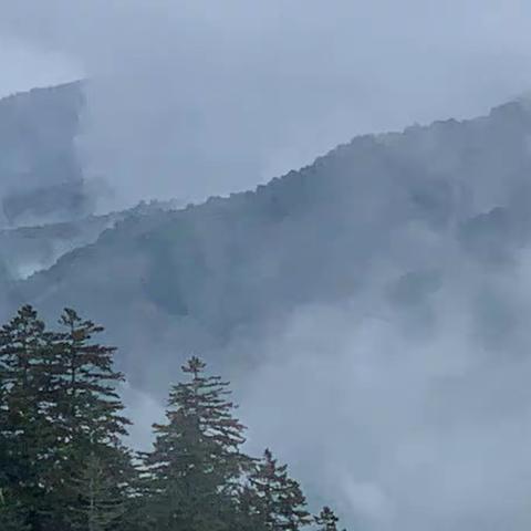 走进水墨山水——大烟山