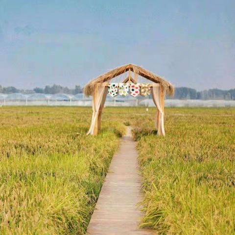 帽峰•拾趣农场•阔步阙上田园元旦研学营