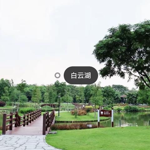 元旦课外素质拓展营6人团：199元/人