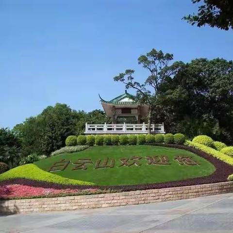 广州白云山小记者非凡之旅499元