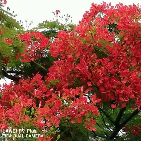 一路走来，一路清新