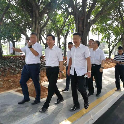 陶镇广局长到黄埔区检查净化美化绿化工作