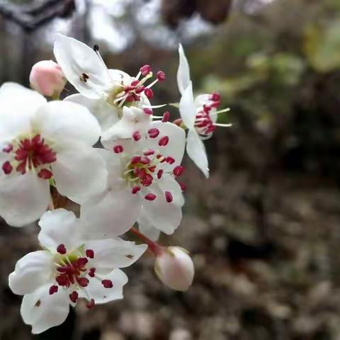 光棍节那天